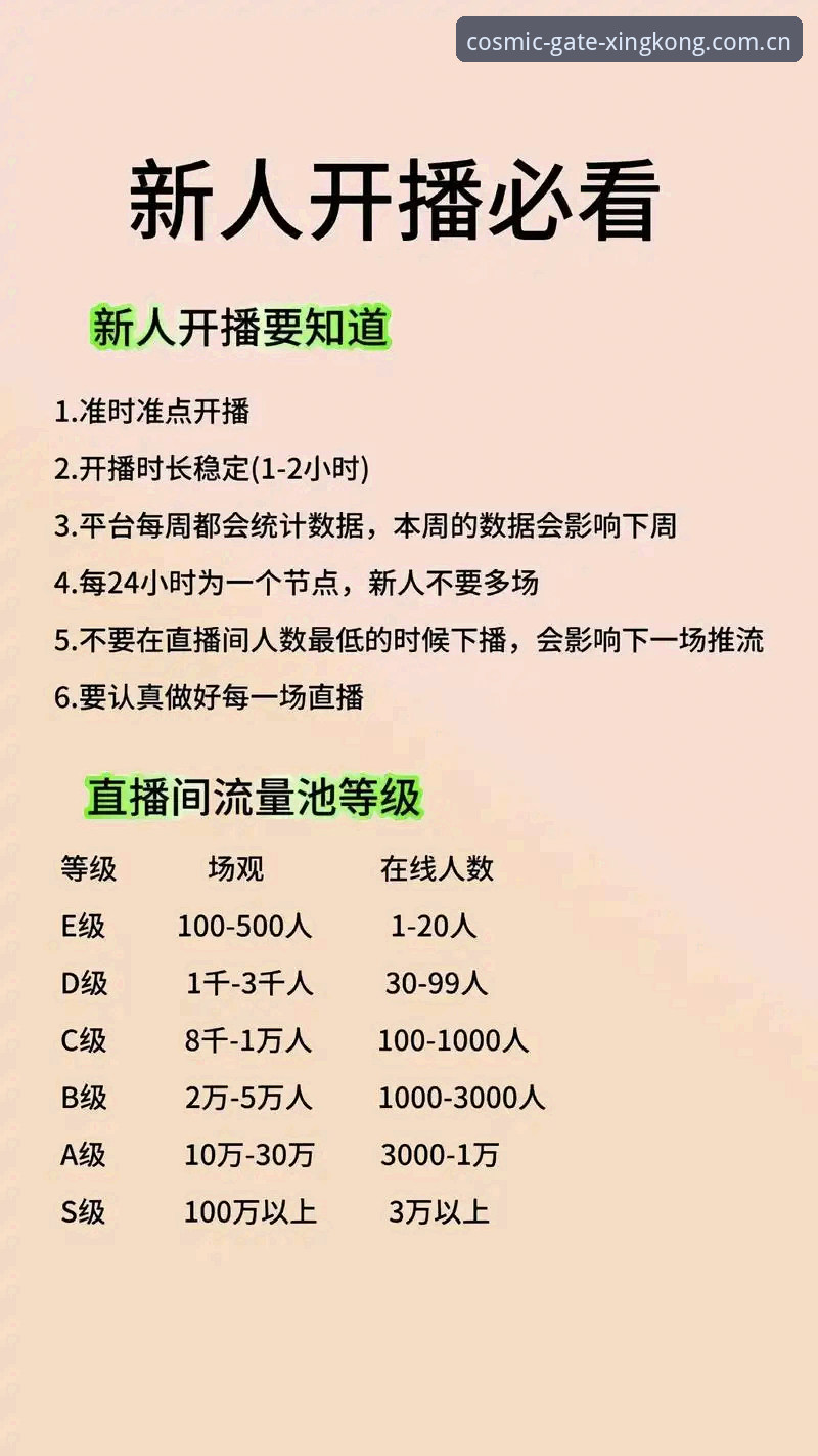 新手必看：星空入口CN直播数据平台必备完整指南